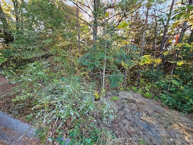 0 General Griffith Cir unit 25, Rutherfordton, NC 28139 - photo 4