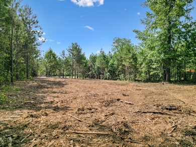 5289 McDonald Rd, McDonald, TN 37353 - photo 3