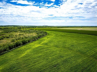 32 Ac. Alexander Rd, Moody, TX 76557 - photo 4