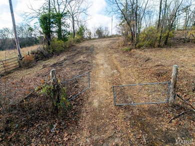 12791 State Route Cc, Rolla, MO 65401 - photo 3