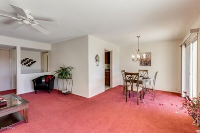 9810 N 102nd Dr, Sun City, AZ 85351 - photo 7