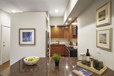 21 Worcester St unit 2, Boston, MA 02118 - photo 7