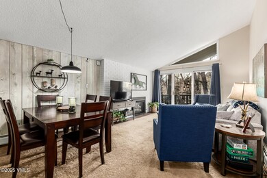 903 N Frontage Rd W unit 9, Vail, CO 81657 - photo 4