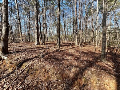 0 Berean Church Rd unit 402415, Ellijay, GA 30540 - photo 6