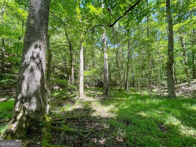 111 + - Acres Off Slate Mine Rd, Fairmount, GA 30139 - photo 7