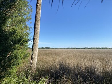 191 Bluebill Trail, Brunswick, GA 31523 - photo 3