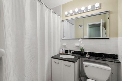 Tremont on the Common unit 6C, Boston, MA 02111 - photo 5