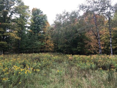 Lots 2/3 Strong Rd, Argonne, WI 54511 - photo 5