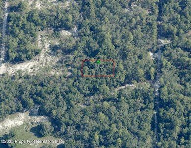 3757 S Heron Point, Inverness, FL 34450 - photo 2