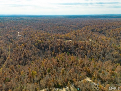 15682 Winding Trail, Birch Tree, MO 65438 - photo 3