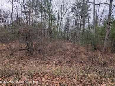 48 Ridge Rd, Shokan, NY 12481 - photo 3