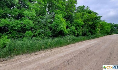 TBD Airport Trail, Temple, TX 76504 - photo 6