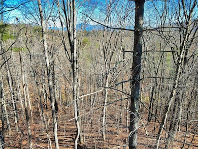TBD Rockinghorse Trail unit Tract 3, Burnsville, NC 28714 - photo 4