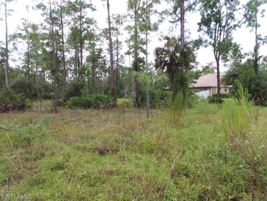 2111 Truman Ave, Alva, FL 33920 - photo 4