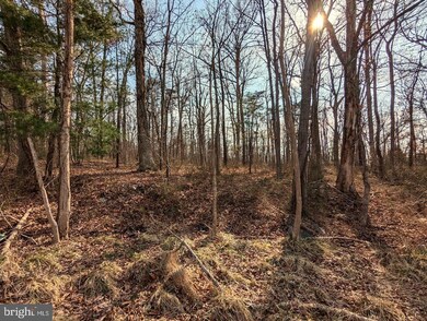 0 E Lee Hwy unit VASH2010608, New Market, VA 22844 - photo 6