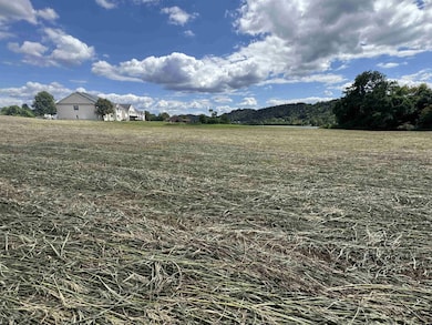 State Route 7, Proctorville, OH 45669 - photo 4