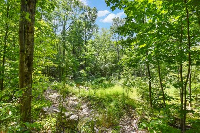 5 New Templeton Rd, Hubbardston, MA 01452 - photo 3