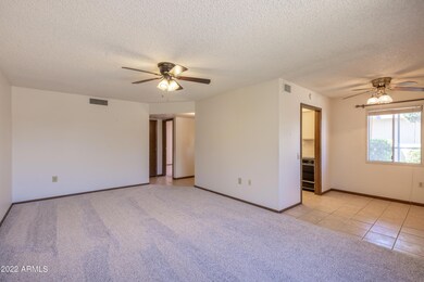 VIEW FROM LIVING ROOM