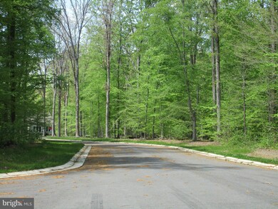 0 Turnberry Ct unit 1000480469, Chestertown, MD 21620 - photo 6