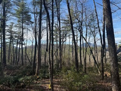 111 Uplands Rd, Cashiers, NC 28717 - photo 3