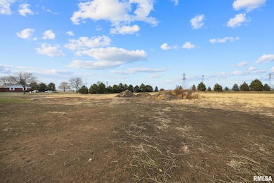 1920 - 1922 Mayflower Dr, Elm Grove Township, IL 61554 - photo 2