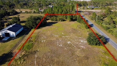 Lot 250 Peabody St, Wedgefield, FL 32833 - photo 3