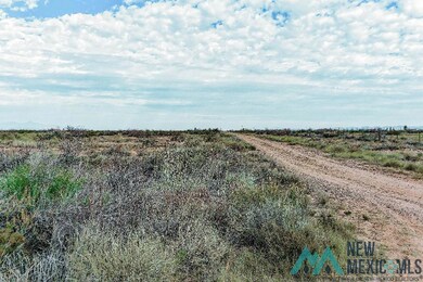 0 Siesta Rd SE unit 20235794, Deming, NM 88030 - photo 7