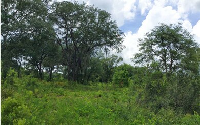 0 Cr-25a unit 103314, Lake City, FL 32055 - photo 3