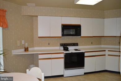 Towers Condominiums unit 202B, Baltimore, MD 21209 - photo 4