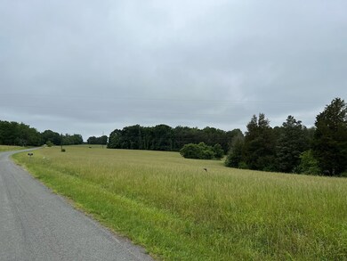 Very Long Mostly Level Road Frontage 