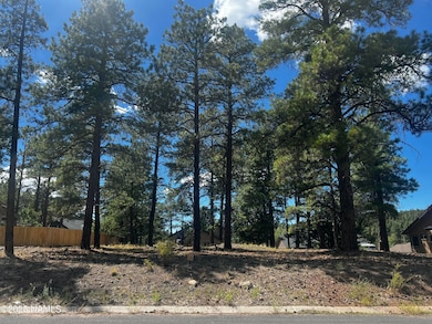 938 Torrey Pines Dr, Williams, AZ 86046 - photo 5