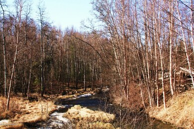 Creek in Subdivision