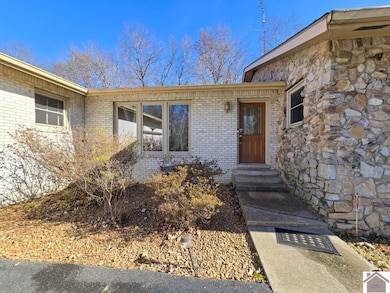 220 Terrace Ln, Paducah, KY 42003 - photo 6