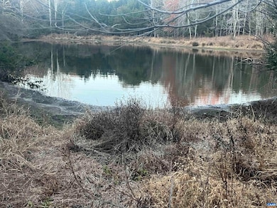 0 Mitchell Ford Rd, Lignum, VA 22726 - photo 2