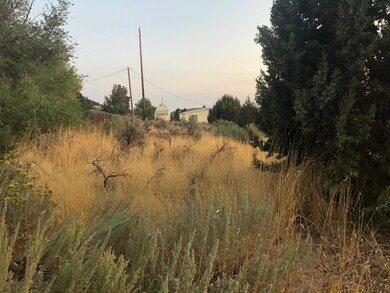 IMG-6422