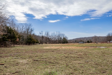 001 Highway H, Pleasant Hope, MO 65725 - photo 4