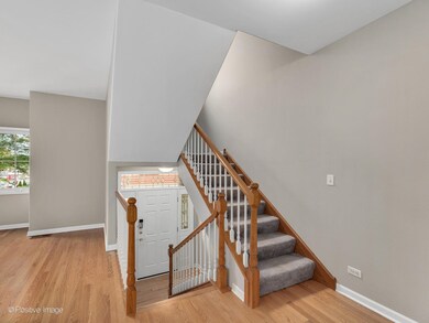 214 N Addison Ave, Elmhurst, IL 60126 - photo 4