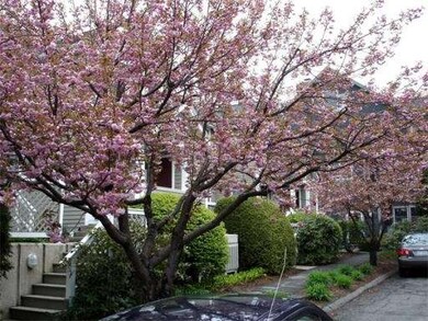 37 Amity Place, Amherst, MA 01002 - photo 6