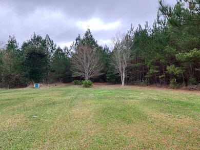 46687 Middle Rd, Callahan, FL 32011 - photo 5