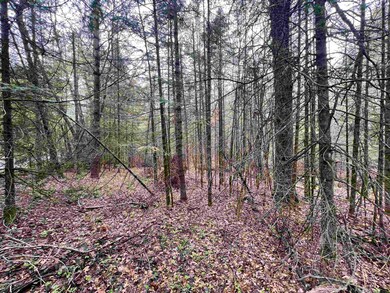 0 Bruette Rd unit 50312014, Wausaukee, City of, WI 54177 - photo 4