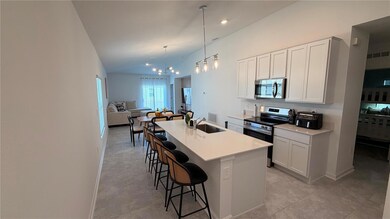 4207 Mountain Laurel Ln, Kissimmee, FL 34746 - photo 5