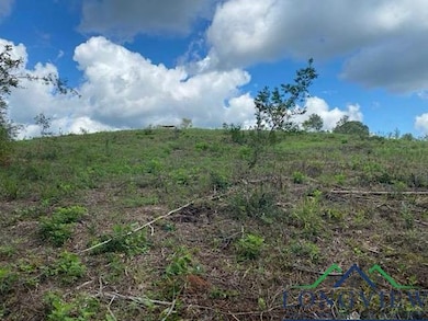 View of landscape