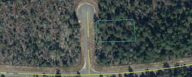 LOT 15 Waterfall Ct, Chipley, FL 32428 - photo 5