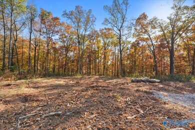 234 Brentwood Ln, Madison, AL 35758 - photo 7