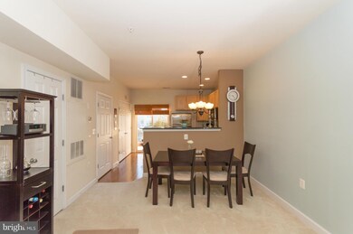 22577 Blue Elder Terrace, Ashburn, VA 20148 - photo 6