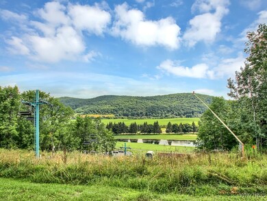 C102 Snowpine Village, Ellicottville, NY 14731 - photo 6