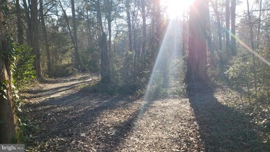 0 Dockser Dr unit MDSM168042, Mechanicsville, MD 20659 - photo 6