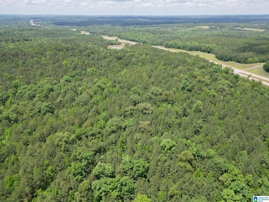 0 Highway 82 unit 1 21385129, Centreville, AL 35042 - photo 6