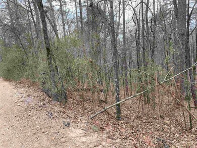 0 Mccall Rd unit 24005759, Heber Springs, AR 72543 - photo 2