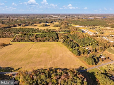 27336 Walnut Tree Rd, Salisbury, MD 21801 - photo 4